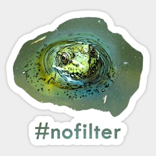 No Filter Frog Sticker